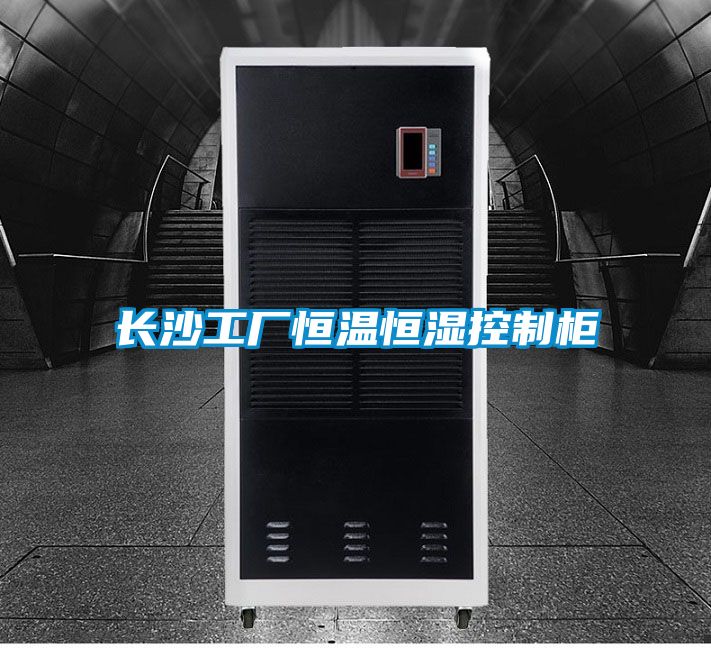 欧美黄色电影在线播放 长沙工厂恒温恒湿控制柜