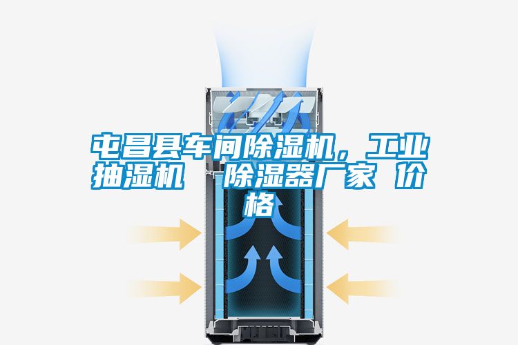欧美成色手机在线观看 屯昌县车间除湿机，工业抽湿机  除湿器厂家 价格