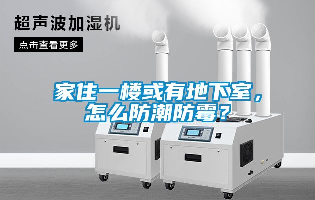 欧美黄色性爱视频网站 家住一楼或有地下室，怎么防潮防霉？