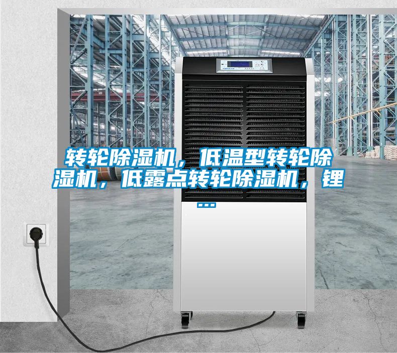 欧美成色手机在线观看 转轮除湿机，低温型转轮除湿机，低露点转轮除湿机，锂 ...