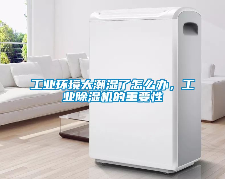 欧美成色手机在线观看 工业环境太潮湿了怎么办，工业除湿机的重要性