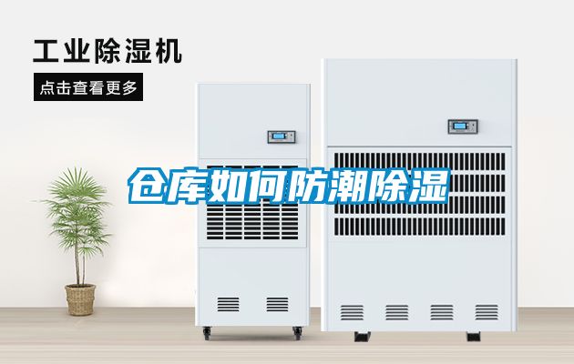 欧美黄色电影在线播放 仓库如何防潮除湿
