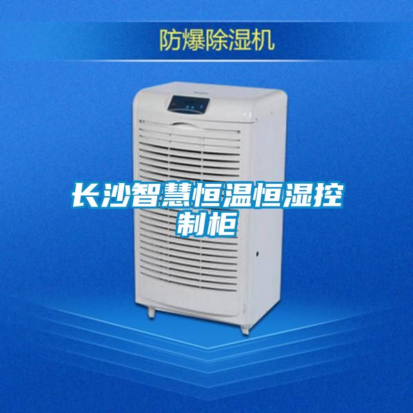 欧美黄色性爱视频网站 长沙智慧恒温恒湿控制柜