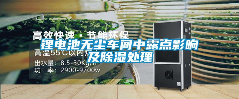 欧美黄色性爱视频网站 锂电池无尘车间中露点影响及除湿处理