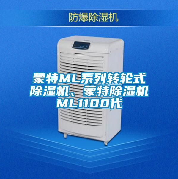 欧美成色手机在线观看 蒙特ML系列转轮式除湿机、蒙特除湿机ML1100代