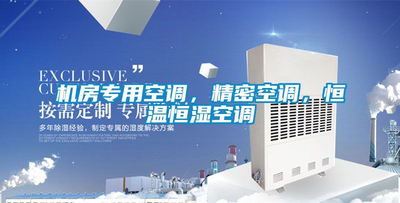 欧美黄色性爱视频网站 机房专用空调，精密空调，恒温恒湿空调