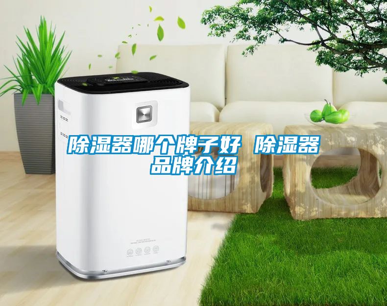 欧美成色手机在线观看 除湿器哪个牌子好 除湿器品牌介绍