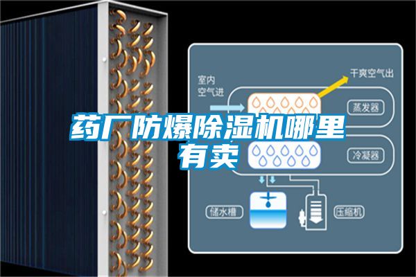 欧美黄色电影在线播放 药厂防爆除湿机哪里有卖
