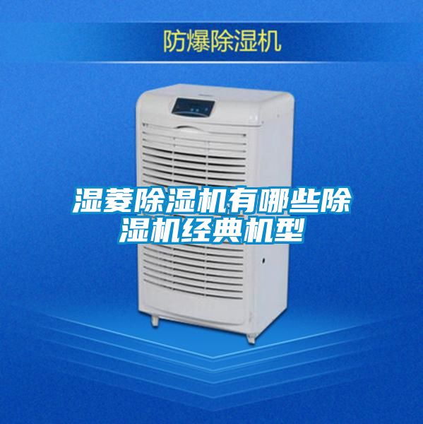 欧美成色手机在线观看 湿菱除湿机有哪些除湿机经典机型