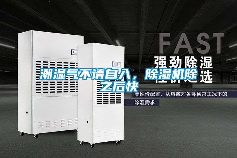 欧美黄色性爱视频网站 潮湿气不请自入，除湿机除之后快