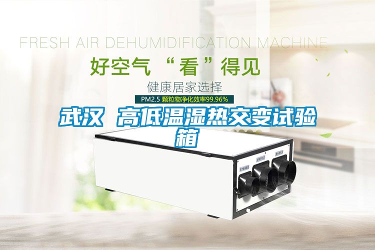 欧美黄色性爱视频网站 武汉 高低温湿热交变试验箱