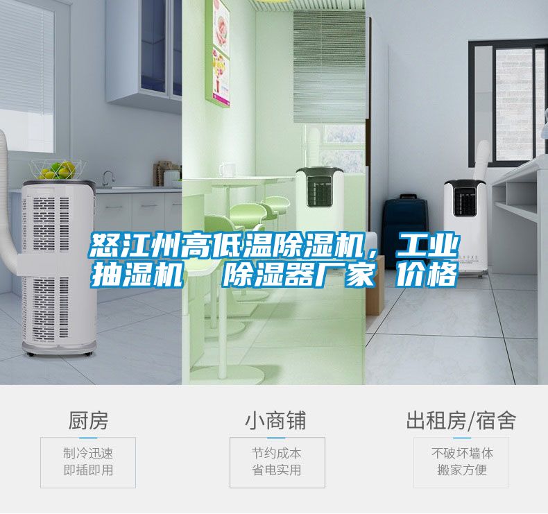 欧美黄色性爱视频网站 怒江州高低温除湿机，工业抽湿机  除湿器厂家 价格