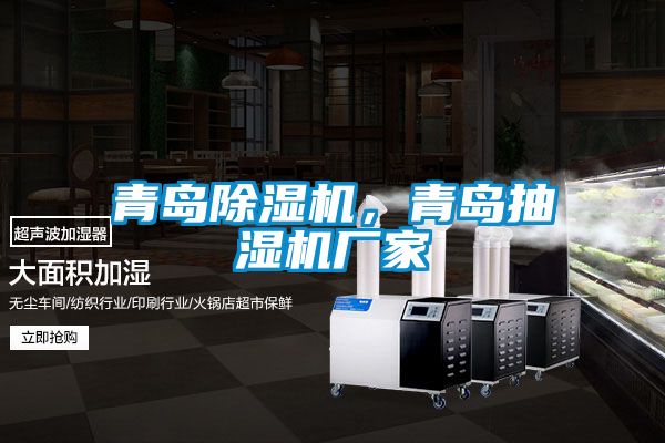 欧美黄色电影在线播放 青岛除湿机，青岛抽湿机厂家