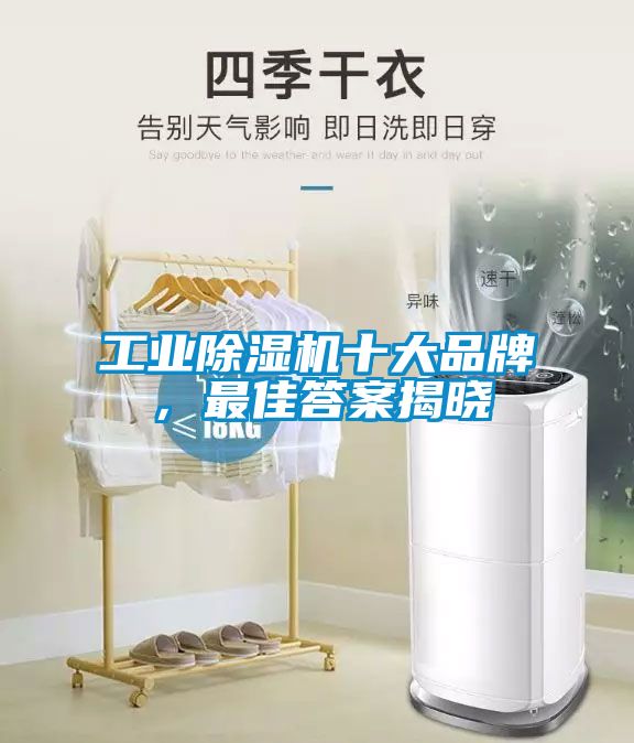 欧美成色手机在线观看 工业除湿机十大品牌，最佳答案揭晓