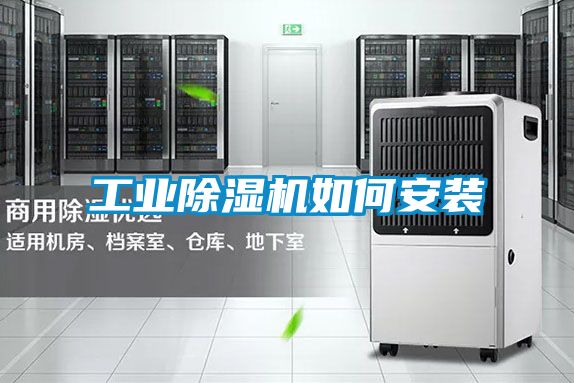 欧美黄色性爱视频网站 工业除湿机如何安装