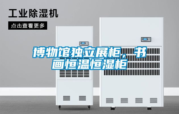 欧美黄色性爱视频网站 博物馆独立展柜，书画恒温恒湿柜