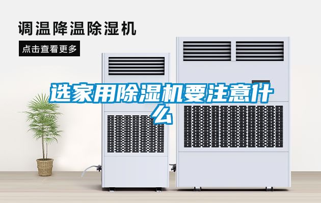 欧美黄色电影在线播放 选家用除湿机要注意什么