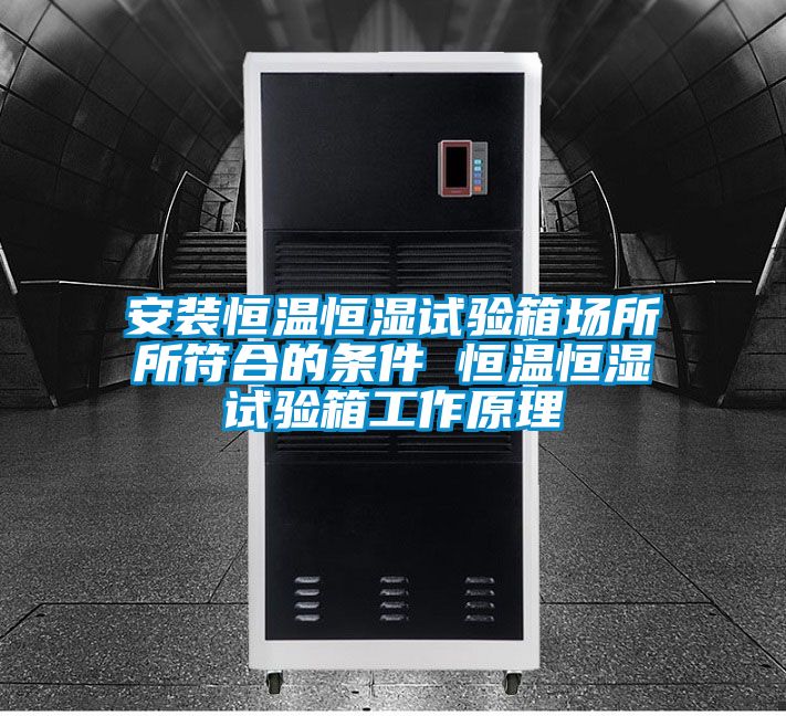 欧美黄色电影在线播放 安装恒温恒湿试验箱场所所符合的条件 恒温恒湿试验箱工作原理
