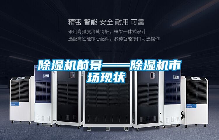 欧美黄色性爱视频网站 除湿机前景——除湿机市场现状‍‍