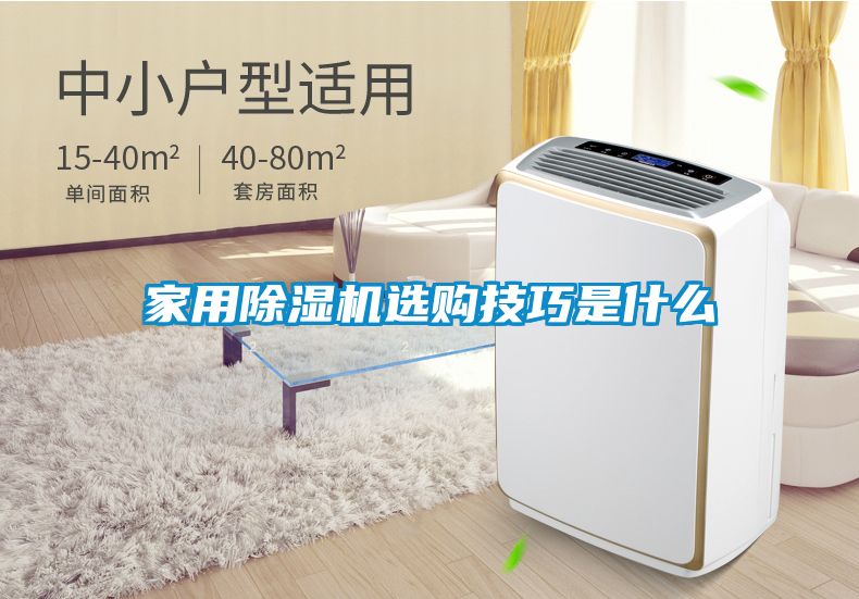 欧美黄色电影在线播放 家用除湿机选购技巧是什么