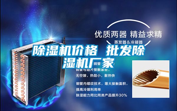 欧美成色手机在线观看 除湿机价格 批发除湿机厂家