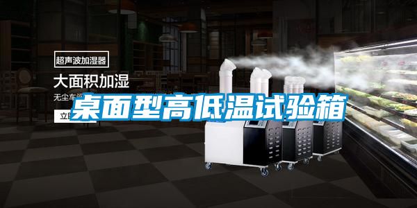 欧美黄色性爱视频网站 桌面型高低温试验箱