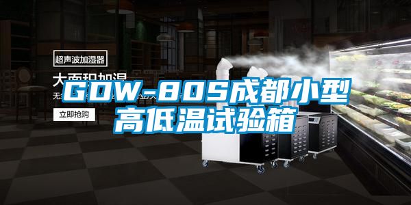 欧美黄色电影在线播放 GDW-80S成都小型高低温试验箱