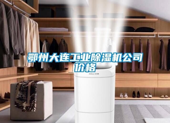 欧美黄色电影在线播放 鄂州大连工业除湿机公司价格