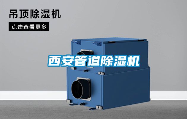 欧美黄色性爱视频网站 西安管道除湿机