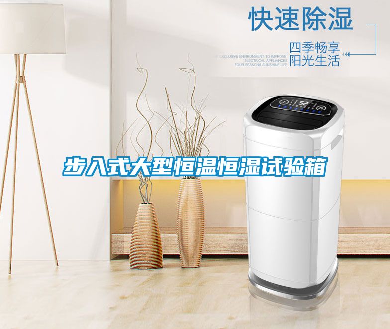 欧美黄色电影在线播放 步入式大型恒温恒湿试验箱