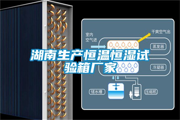 欧美黄色性爱视频网站 湖南生产恒温恒湿试验箱厂家