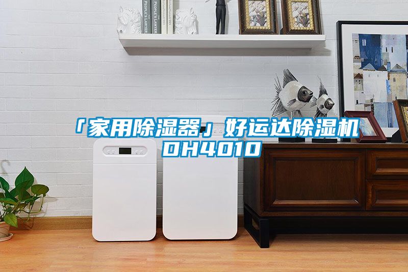 欧美黄色电影在线播放 「家用除湿器」好运达除湿机 DH4010