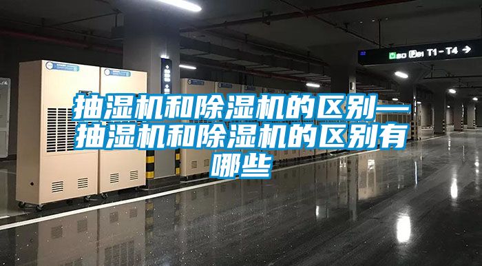 欧美成色手机在线观看 抽湿机和除湿机的区别—抽湿机和除湿机的区别有哪些