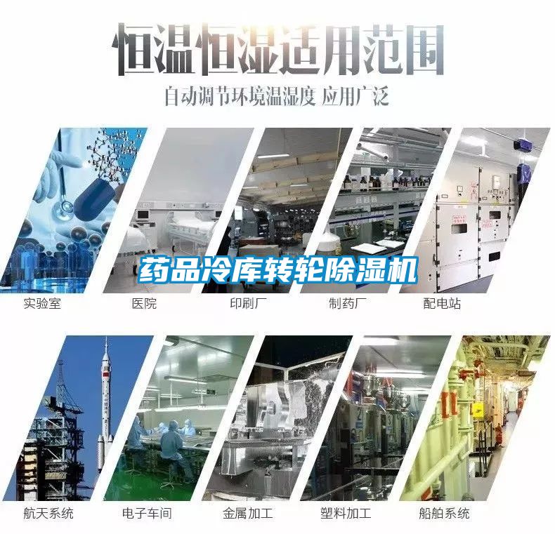 欧美黄色性爱视频网站 药品冷库转轮除湿机