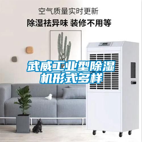 欧美黄色性爱视频网站 武威工业型除湿机形式多样