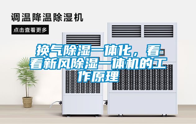 欧美黄色性爱视频网站 换气除湿一体化，看看新风除湿一体机的工作原理