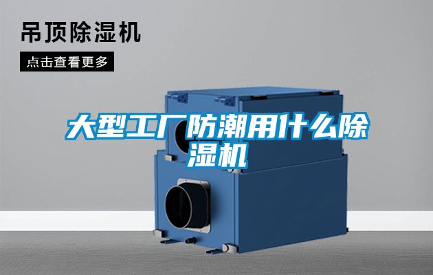 欧美黄色电影在线播放 大型工厂防潮用什么除湿机