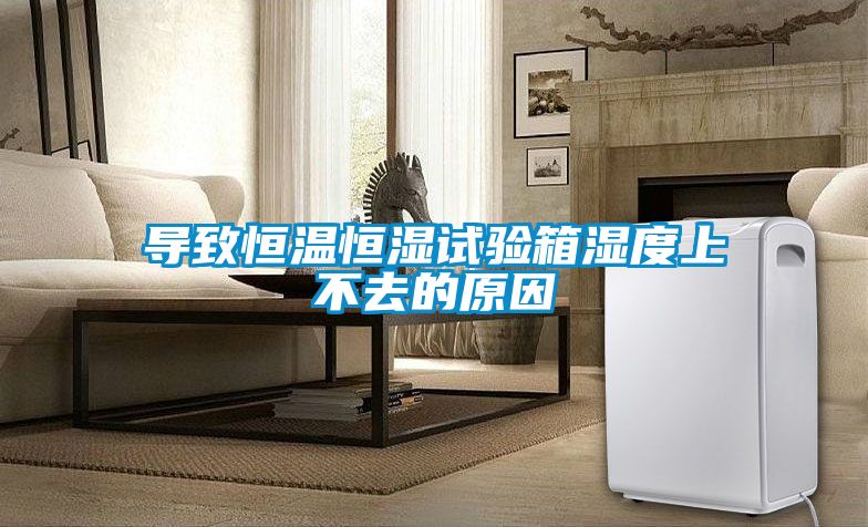 欧美黄色电影在线播放 导致恒温恒湿试验箱湿度上不去的原因