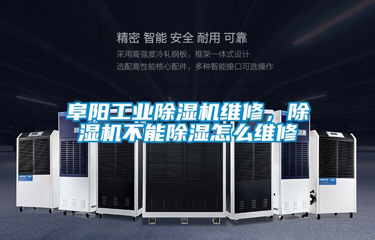 欧美黄色电影在线播放 阜阳工业除湿机维修，除湿机不能除湿怎么维修