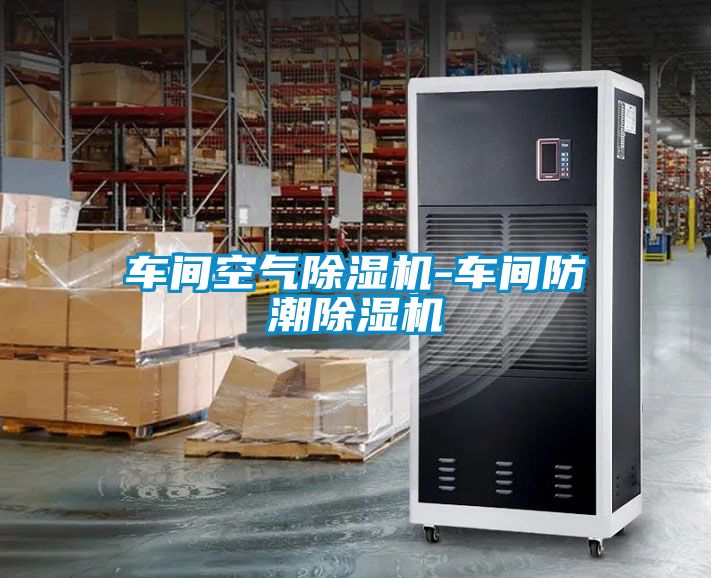 欧美黄色性爱视频网站 车间空气除湿机-车间防潮除湿机