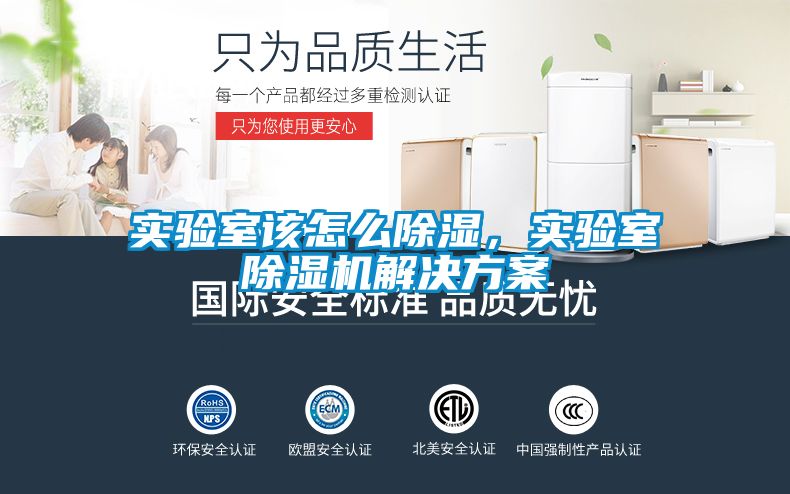 欧美黄色电影在线播放 实验室该怎么除湿，实验室除湿机解决方案