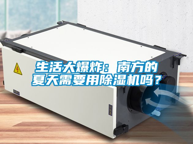 欧美黄色电影在线播放 生活大爆炸：南方的夏天需要用除湿机吗？