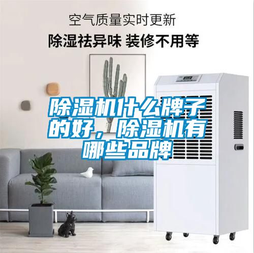 欧美成色手机在线观看 除湿机什么牌子的好，除湿机有哪些品牌