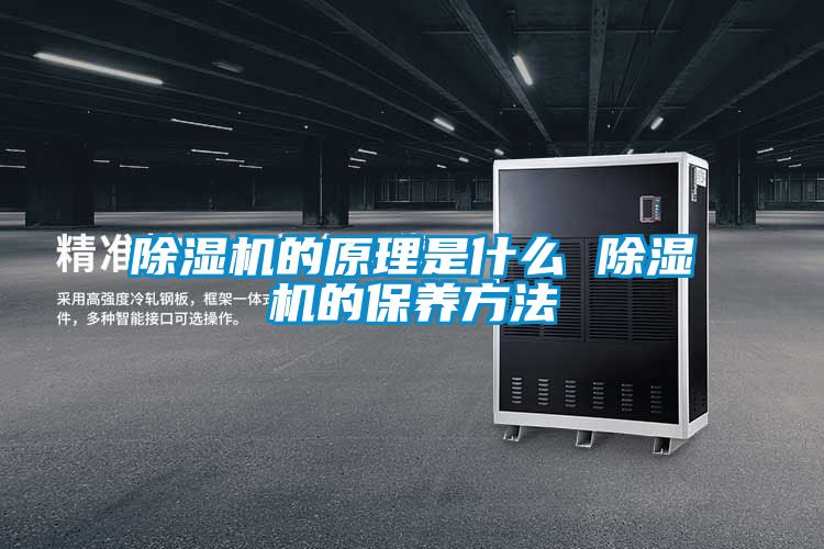 欧美黄色性爱视频网站 除湿机的原理是什么 除湿机的保养方法
