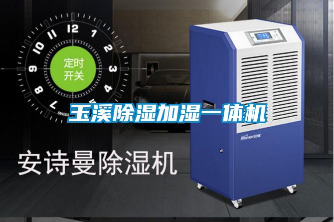 欧美黄色性爱视频网站 玉溪除湿加湿一体机