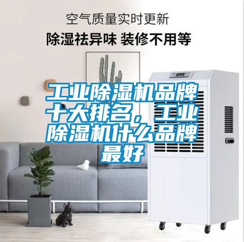 欧美黄色性爱视频网站 工业除湿机品牌十大排名，工业除湿机什么品牌最好