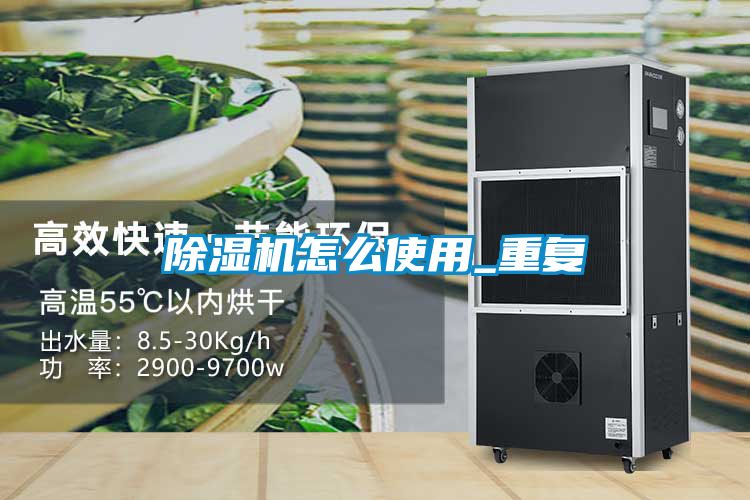 欧美黄色电影在线播放 除湿机怎么使用_重复