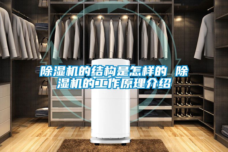 欧美成色手机在线观看 除湿机的结构是怎样的 除湿机的工作原理介绍