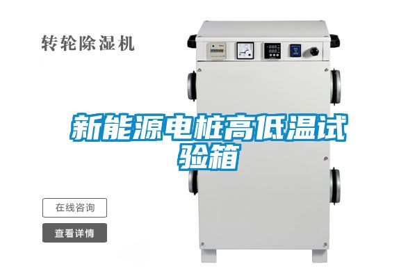 欧美黄色性爱视频网站 新能源电桩高低温试验箱