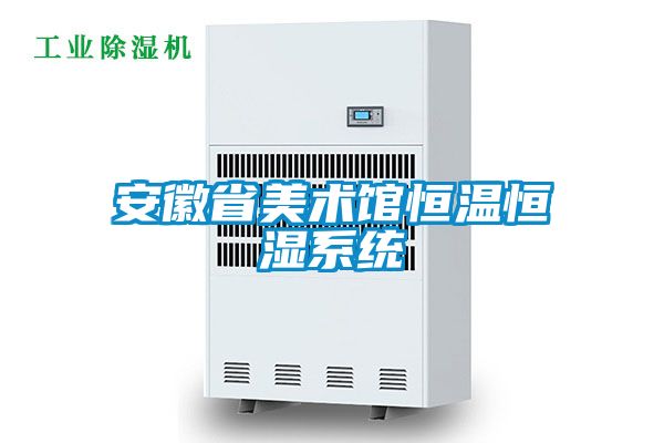 欧美黄色性爱视频网站 安徽省美术馆恒温恒湿系统